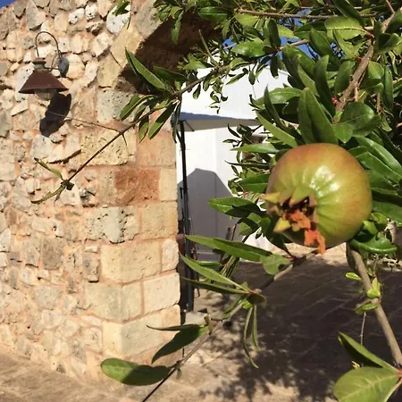 Vòioro Alojamento de Turismo Rural Morciano di Leuca